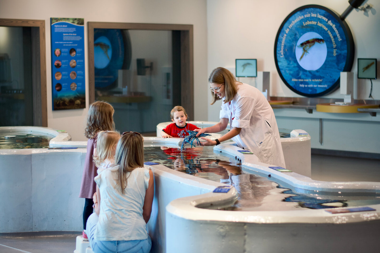 Children discovering the touch tank at the Homarus Centre